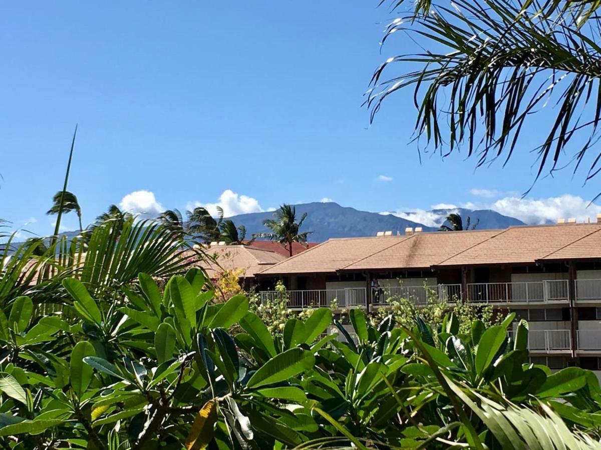 Appartement Perfect for families&couples - Maui Sunset A-203 à Kihei Extérieur photo